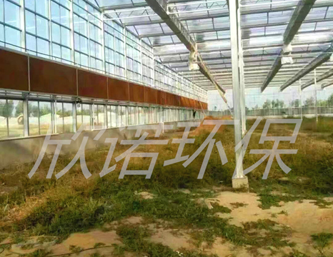 �Nֲ����ͨ�L(f��ng)���ذ���